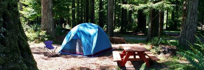 Camping